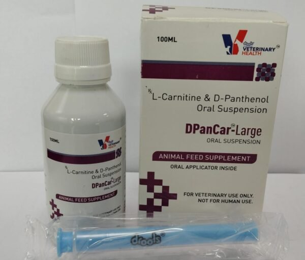 DPan-Car Large