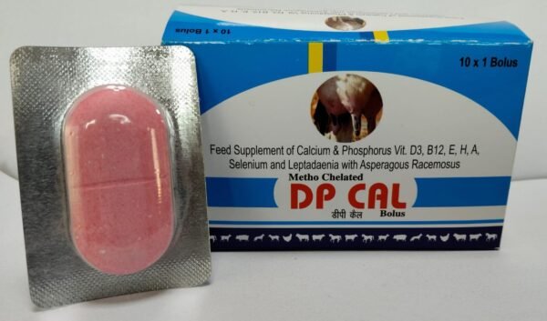 DP Cal